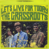 The Grass Roots: Let's Live for Today