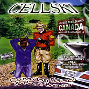 Cellski: Canadian Bacon & Hash Browns