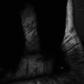 Fell to the Veils of Darkness