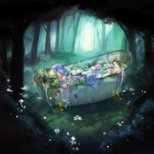 Never The Same Again, Thank Goodness