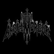 Angel Morgue