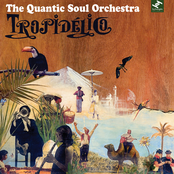 Interlude by The Quantic Soul Orchestra