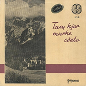 Tam kjer murke cveto