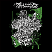 A Collection Of Self​-​Destruction