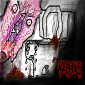 Турбуленс-унитаз