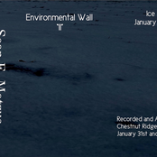 Environmental Wall II