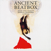 Wooden Box by Ancient Beatbox