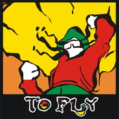 to fly