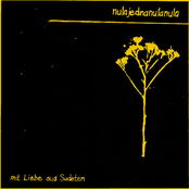 mit Liebe aus Sudeten