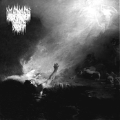 Scientific Accurate Sound Of​.​.​.