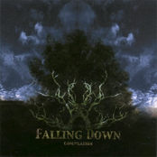 Falling Down Compilation