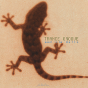 Meant to Be Like This