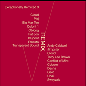 Exceptionally Remixed 3