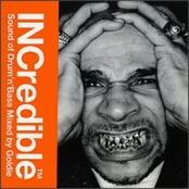 INCredible Sound of Drum 'n' Bass (disc 1)