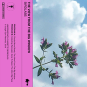 The View From The Big Window