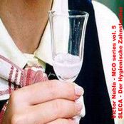 SLECA - Der Hygienische Zahnstocher