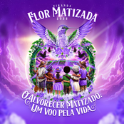 O Alvorecer Matizado: Um Voo pela Vida (2024)
