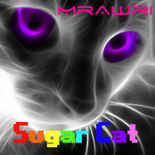 Sugar Cat
