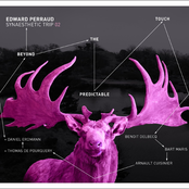 Beyond the Predictable Touch