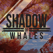 Shadow of Whales