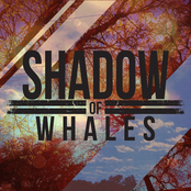 Shadow of Whales: Shadow of Whales