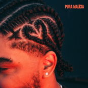 Pura Malícia