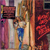 Mutant Cats from Hell