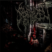 Mangled Biomechanical Amalgamations