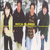 mica flakes