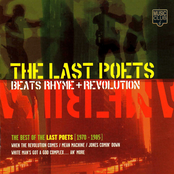 Bats, Rhyme & Revolution