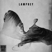 Lamprey