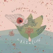 Crisalide
