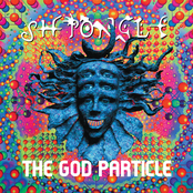 The God Particle by Shpongle