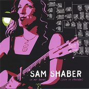 In My Bones by Sam Shaber