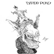 Bardo Pond/Buck Paco Split EP