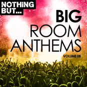 Nothing But... Big Room Anthems, Vol. 08