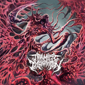 Traumatic Insemination