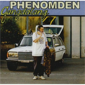 Lied Im Ohr by Phenomden