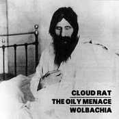 Cloud Rat/The Oily Menace/Wolbachia