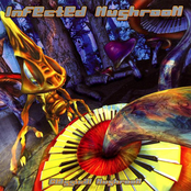 Sailing In The Sea Of Mushroom by Infected Mushroom