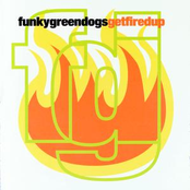 Why? by Funky Green Dogs