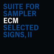 Suite for Sampler, selected signs, II