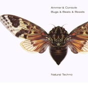 Bugs & Beats & Beasts