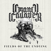 Fields of the Undying