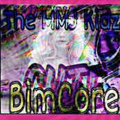 Bimcore