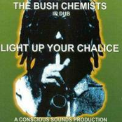Stand Up Dub by Bush Chemists