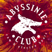 abyssinie club