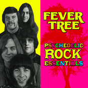 Psychedelic Rock Essentials
