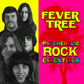 fever tree / another time another place