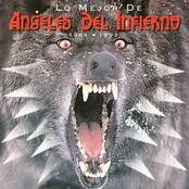 Lo Mejor De Angeles Del Infierno: 1984-1993